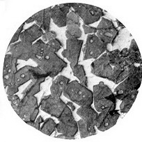 kachestvo-cementa 2