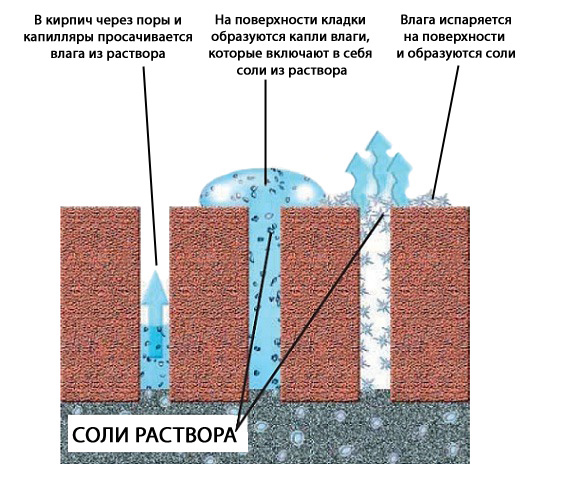 putz-ec vysoly28