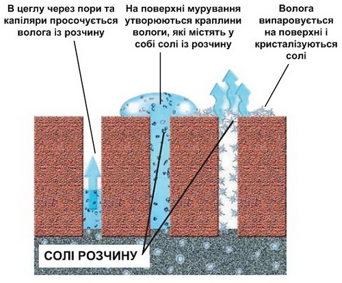 putz-ec vysoly5